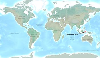 Where is Molucca Sea