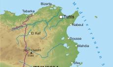 Physical map of Tunisia