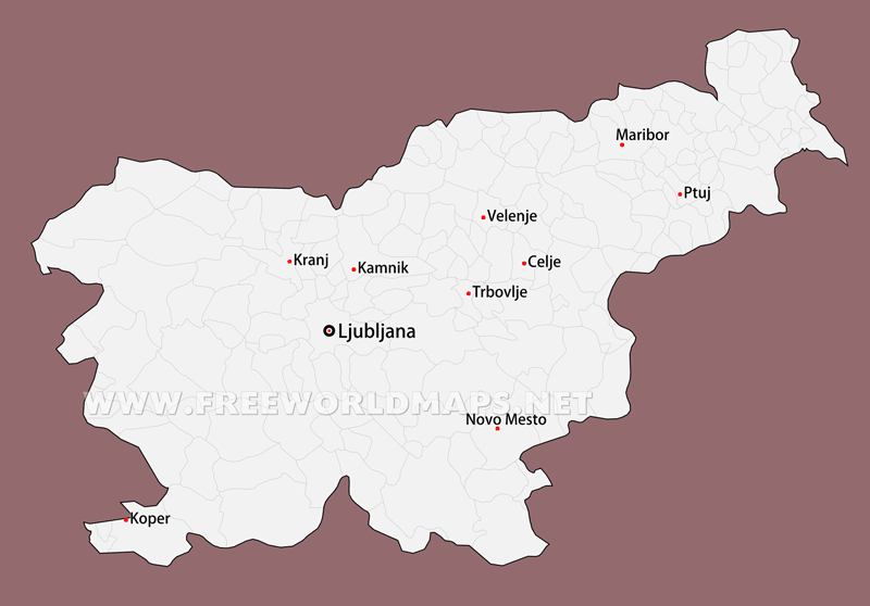 Slovenia Political Map