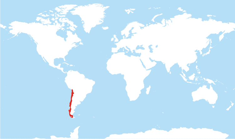 Where Is Chile Located On The World Map