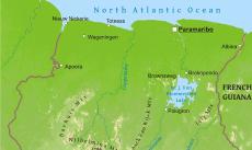 Suriname physical map